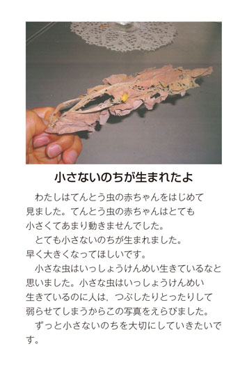 作品名［小さないのちが生まれたよ］の説明画像