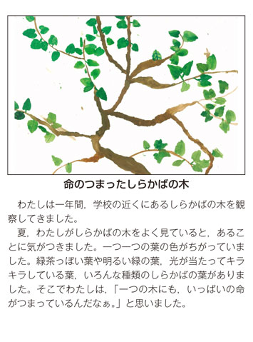 作品名［命のつまったしらかばの木］の説明画像
