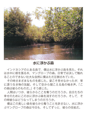 作品名［水に浮かぶ森］の説明画像
