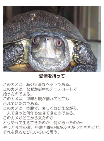 作品名［愛情を持って］の説明画像