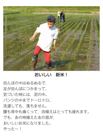 作品名［おいしい　新米！］の説明画像