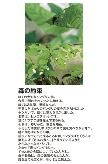 作品名［森の約束］の説明画像