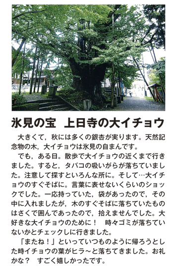 作品名［氷見の宝　上日寺の大イチョウ］の説明画像