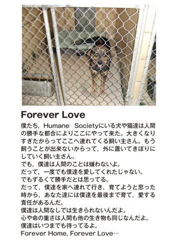 作品名［Forever Love］の説明画像