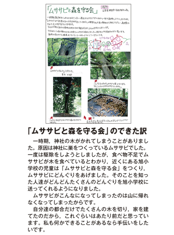作品名［「ムササビと森を守る会」のできた訳］の説明画像