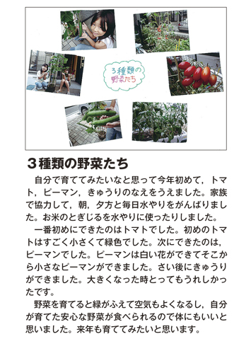 作品名［3種類の野菜たち］の説明画像