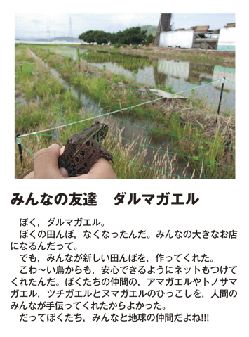 作品名［みんなの友達　ダルマガエル］の説明画像
