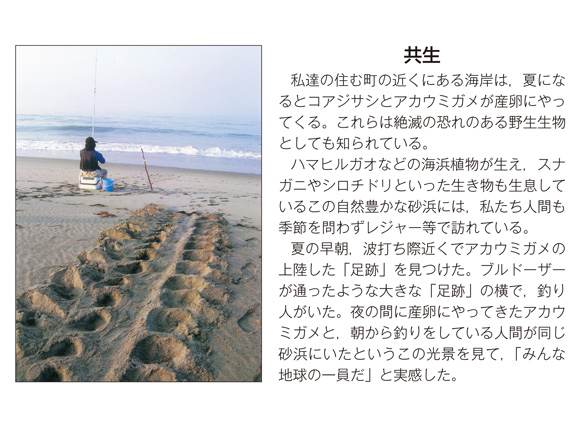 作品名［共生］の説明画像
