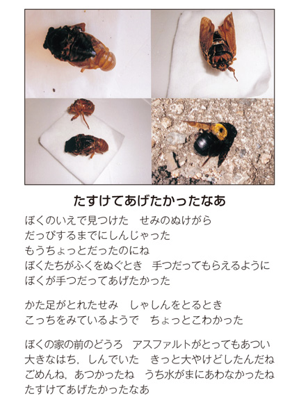 作品名［たすけてあげたかったなあ］の説明画像