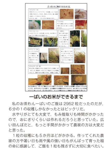 作品名［一ぱいのお米ができるまで］の説明画像