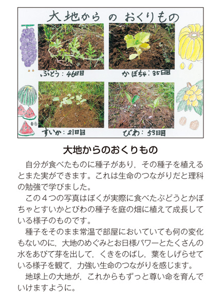 作品名［大地からのおくりもの］の説明画像