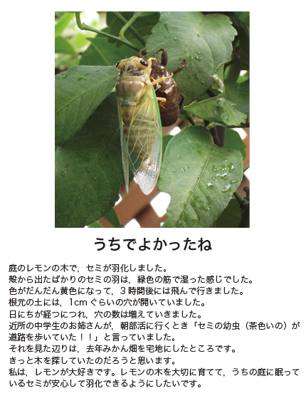 作品名［うちでよかったね］の説明画像