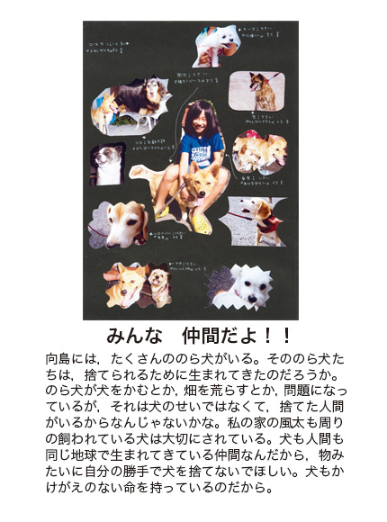 作品名［みんな　仲間だよ！！］の説明画像