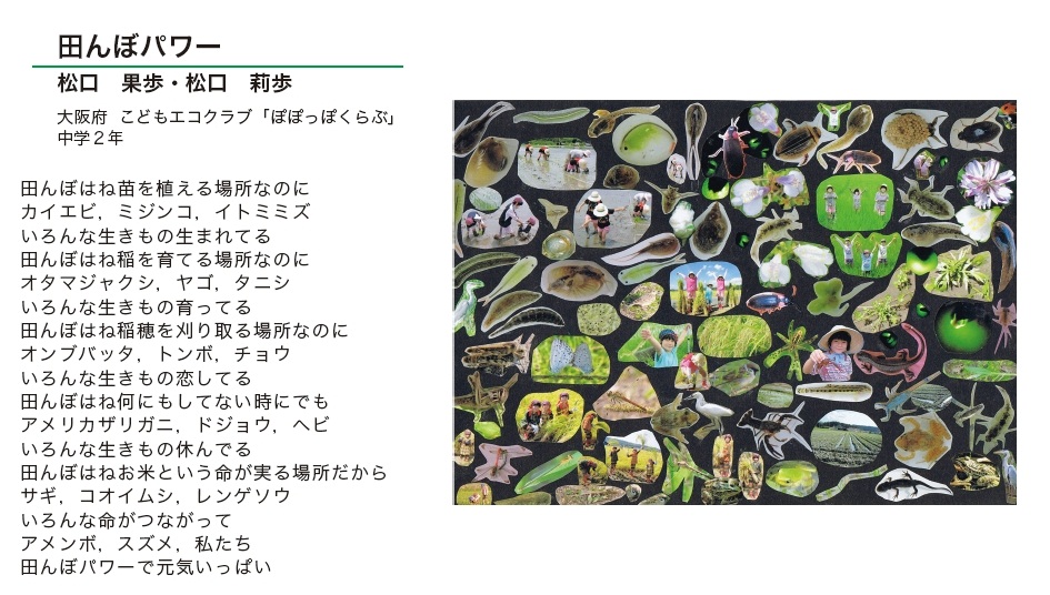 作品名［田んぼパワー］の説明画像