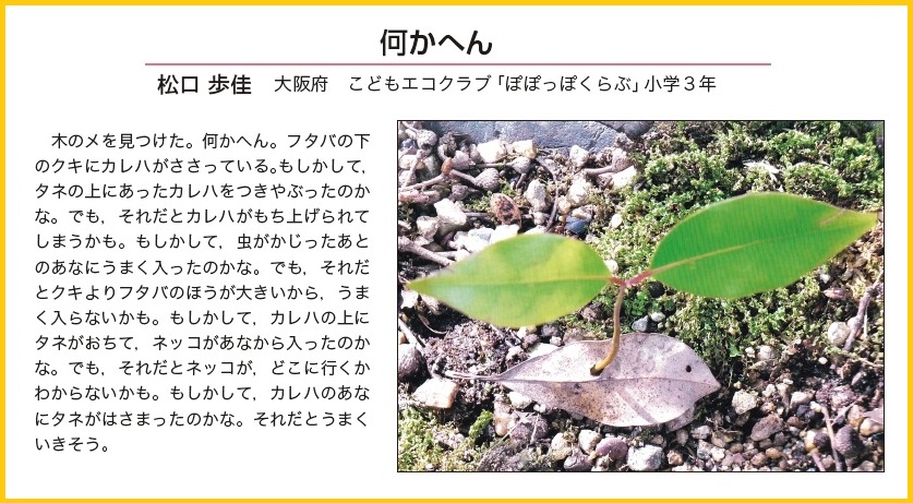 作品名［何かへん］の説明画像