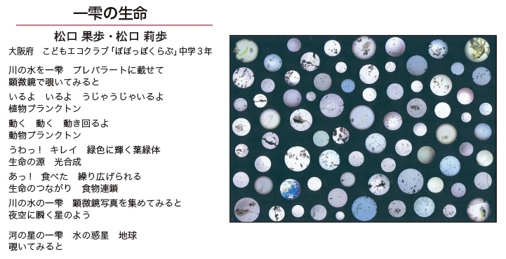 作品名［一雫の生命］の説明画像