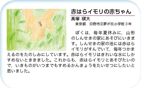 作品名［赤はらイモリの赤ちゃん］の説明画像