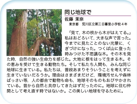作品名［同じ地球で］の説明画像