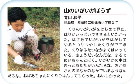 作品名［山のいがいがぼうず］の説明画像
