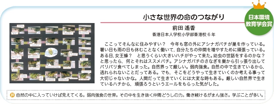 作品名［小さな世界の命のつながり］の説明画像