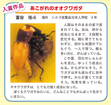 作品名［あこがれのオオクワガタ］の説明画像