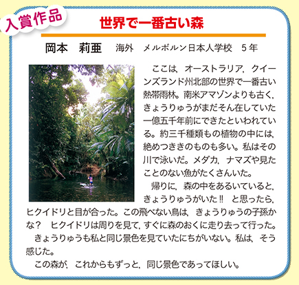 作品名［世界で一番古い森］の説明画像