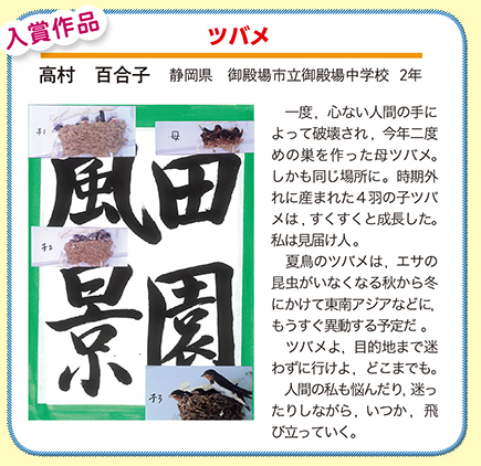作品名［ツバメ］の説明画像