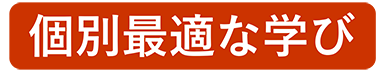 個別最適化