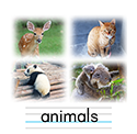動物