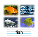 魚